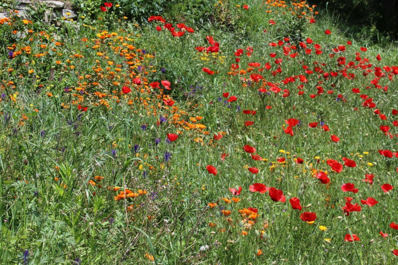 Agriturismo La Rovere Cossano Belbo 外观 照片