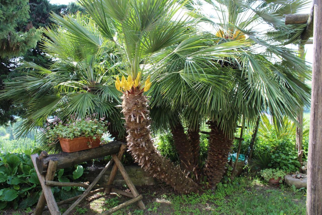 Agriturismo La Rovere Cossano Belbo 外观 照片